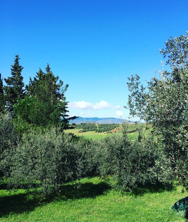 La Locanda Del Barbagianni Santa Luce Exteriör bild