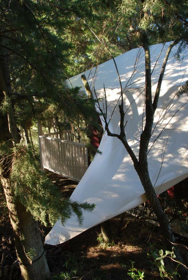 La Locanda Del Barbagianni Santa Luce Exteriör bild